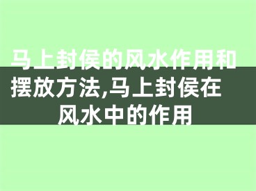 马上封侯的风水作用和摆放方法,马上封侯在风水中的作用