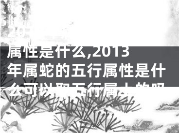 2013年属蛇的五行属性是什么,2013年属蛇的五行属性是什么可以取五行属土的吗