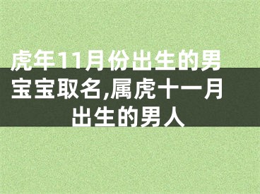 虎年11月份出生的男宝宝取名,属虎十一月出生的男人