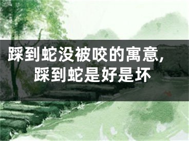 踩到蛇没被咬的寓意,踩到蛇是好是坏