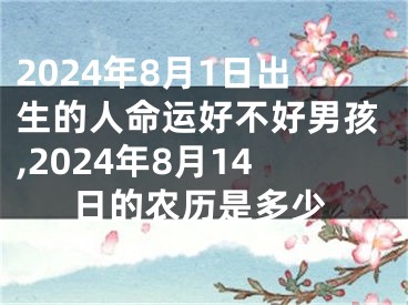 2024年8月1日出生的人命运好不好男孩,2024年8月14日的农历是多少