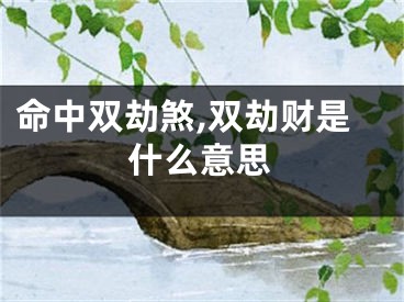 命中双劫煞,双劫财是什么意思