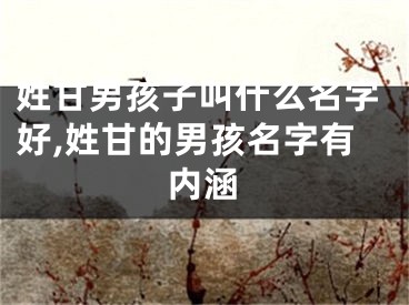姓甘男孩子叫什么名字好,姓甘的男孩名字有内涵
