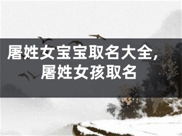 屠姓女宝宝取名大全,屠姓女孩取名