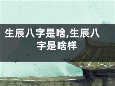 生辰八字是啥,生辰八字是啥样