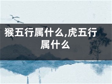 猴五行属什么,虎五行属什么