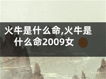 火牛是什么命,火牛是什么命2009女