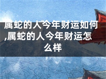 属蛇的人今年财运如何,属蛇的人今年财运怎么样