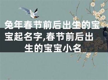 兔年春节前后出生的宝宝起名字,春节前后出生的宝宝小名