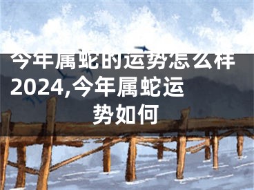 今年属蛇的运势怎么样2024,今年属蛇运势如何