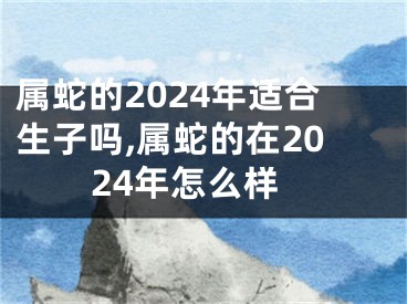 属蛇的2024年适合生子吗,属蛇的在2024年怎么样