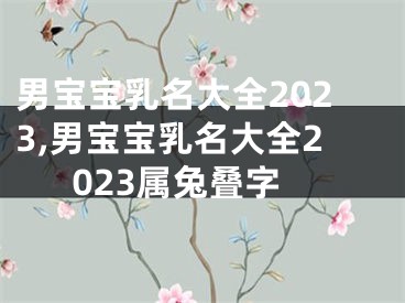 男宝宝乳名大全2023,男宝宝乳名大全2023属兔叠字