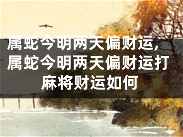 属蛇今明两天偏财运,属蛇今明两天偏财运打麻将财运如何