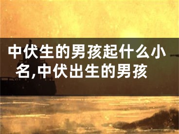中伏生的男孩起什么小名,中伏出生的男孩
