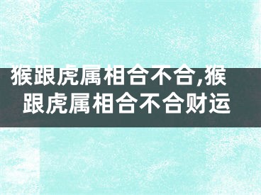 猴跟虎属相合不合,猴跟虎属相合不合财运