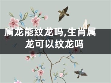 属龙能纹龙吗,生肖属龙可以纹龙吗