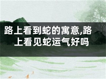 路上看到蛇的寓意,路上看见蛇运气好吗