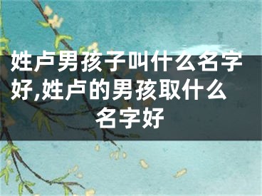 姓卢男孩子叫什么名字好,姓卢的男孩取什么名字好