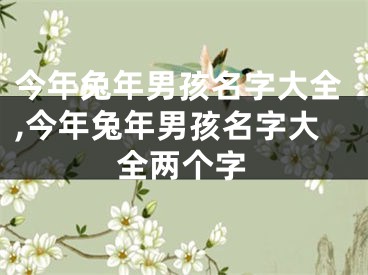 今年兔年男孩名字大全,今年兔年男孩名字大全两个字