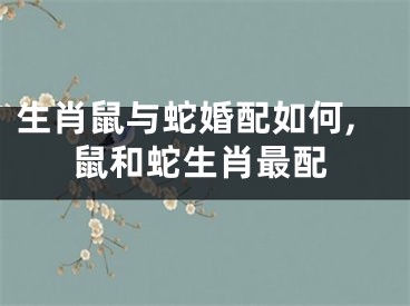 生肖鼠与蛇婚配如何,鼠和蛇生肖最配