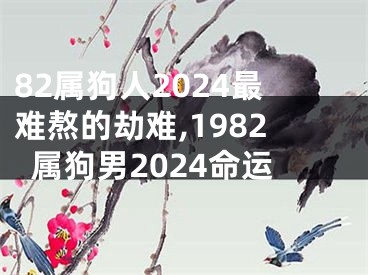 82属狗人2024最难熬的劫难,1982属狗男2024命运