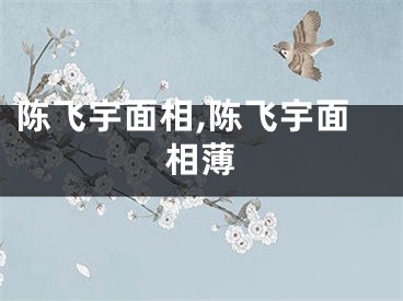 陈飞宇面相,陈飞宇面相薄