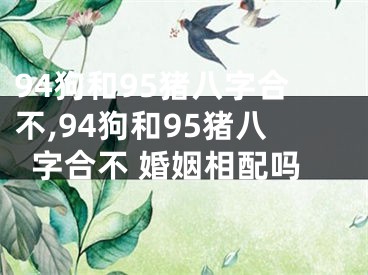 94狗和95猪八字合不,94狗和95猪八字合不 婚姻相配吗