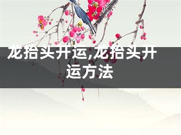 龙抬头开运,龙抬头开运方法