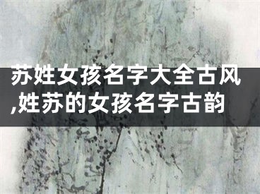 苏姓女孩名字大全古风,姓苏的女孩名字古韵
