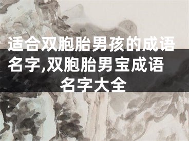 适合双胞胎男孩的成语名字,双胞胎男宝成语名字大全