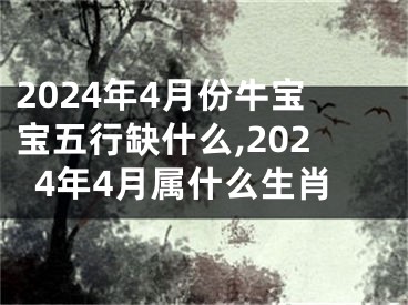 2024年4月份牛宝宝五行缺什么,2024年4月属什么生肖