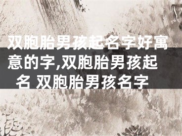 双胞胎男孩起名字好寓意的字,双胞胎男孩起名 双胞胎男孩名字