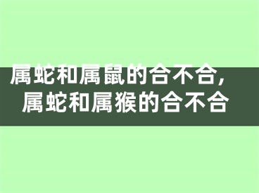 属蛇和属鼠的合不合,属蛇和属猴的合不合