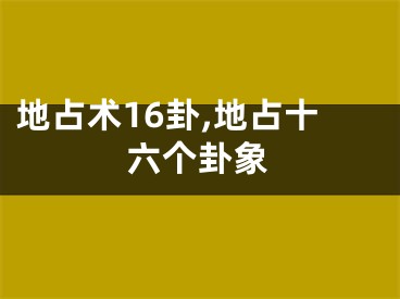 地占术16卦,地占十六个卦象
