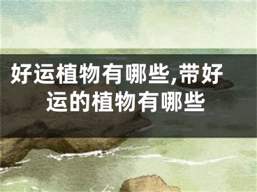 好运植物有哪些,带好运的植物有哪些