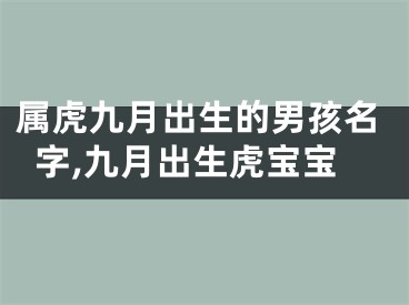 属虎九月出生的男孩名字,九月出生虎宝宝