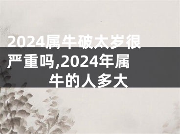 2024属牛破太岁很严重吗,2024年属牛的人多大