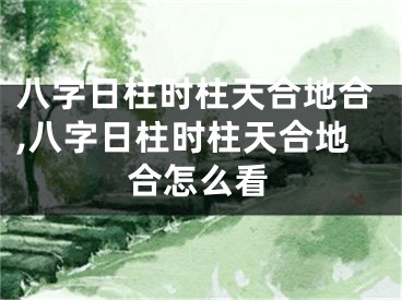 八字日柱时柱天合地合,八字日柱时柱天合地合怎么看