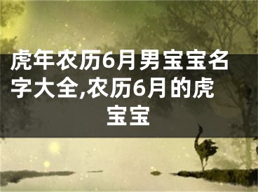 虎年农历6月男宝宝名字大全,农历6月的虎宝宝