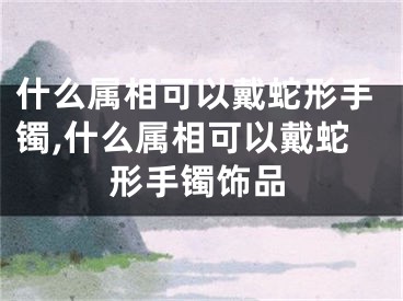 什么属相可以戴蛇形手镯,什么属相可以戴蛇形手镯饰品