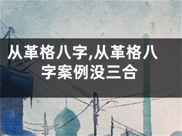 从革格八字,从革格八字案例没三合