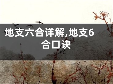 地支六合详解,地支6合口诀