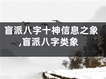 盲派八字十神信息之象,盲派八字类象