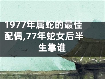1977年属蛇的最佳配偶,77年蛇女后半生靠谁