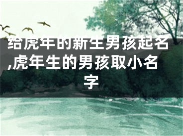 给虎年的新生男孩起名,虎年生的男孩取小名字