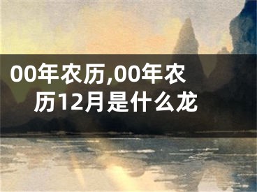 00年农历,00年农历12月是什么龙
