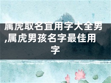 属虎取名宜用字大全男,属虎男孩名字最佳用字