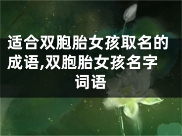 适合双胞胎女孩取名的成语,双胞胎女孩名字词语