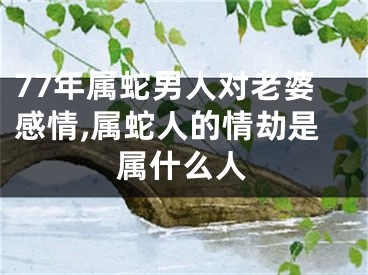 77年属蛇男人对老婆感情,属蛇人的情劫是属什么人