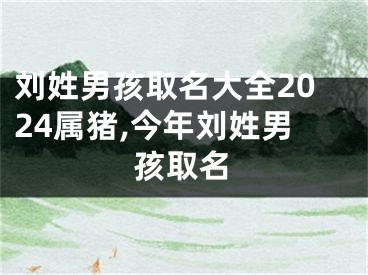 刘姓男孩取名大全2024属猪,今年刘姓男孩取名